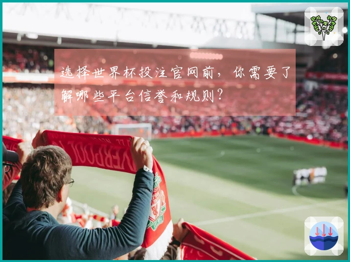 选择世界杯投注官网前，你需要了解哪些平台信誉和规则？