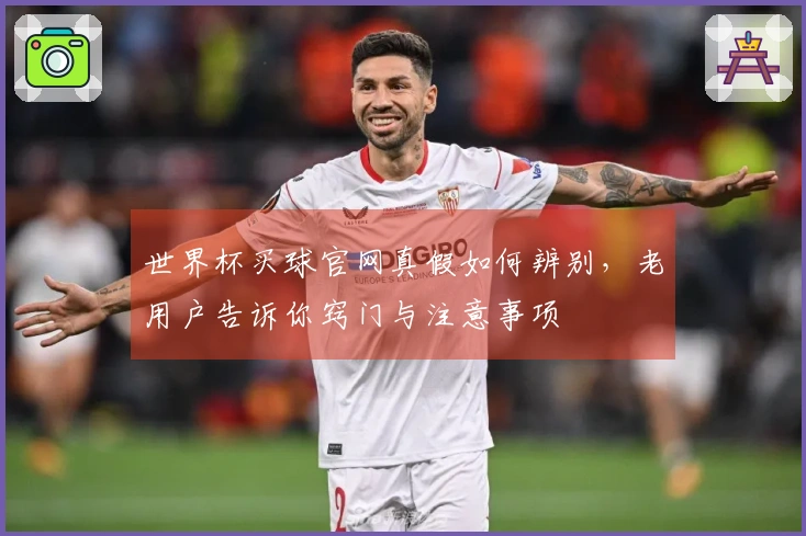世界杯买球官网真假如何辨别，老用户告诉你窍门与注意事项