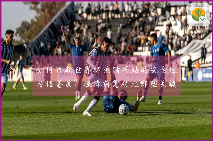 如何判断世界杯竞猜网站的安全性与信誉度？选择前需对比哪些关键因素？