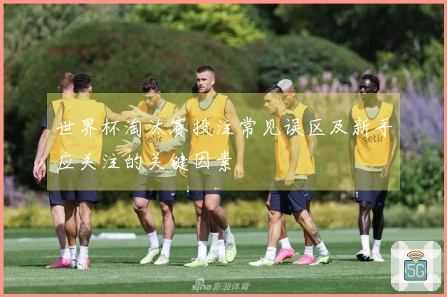 世界杯淘汰赛投注常见误区及新手应关注的关键因素
