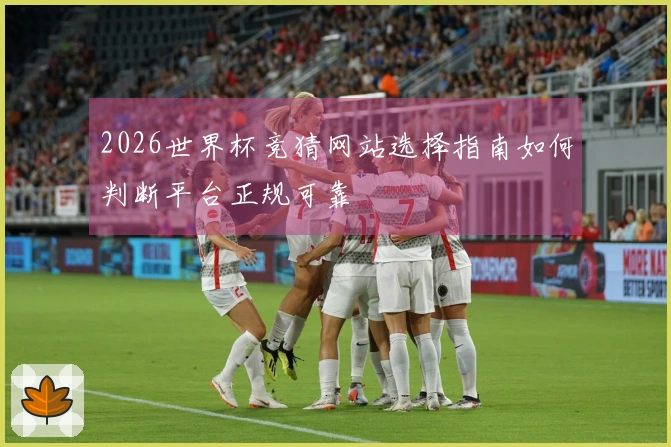 2026世界杯竞猜网站选择指南如何判断平台正规可靠