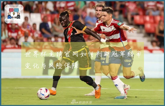 世界杯竞猜官网如何判断冠军赔率变化与风险保障