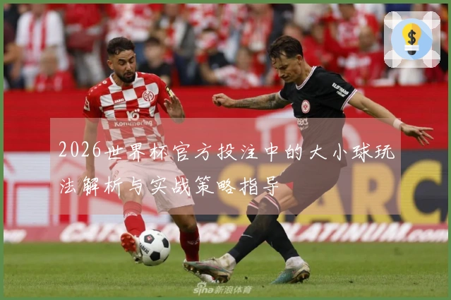 2026世界杯官方投注中的大小球玩法解析与实战策略指导