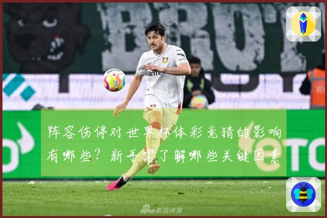 阵容伤停对世界杯体彩竞猜的影响有哪些？新手需了解哪些关键因素？