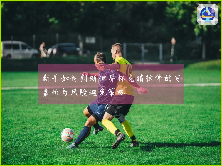 新手如何判断世界杯竞猜软件的可靠性与风险避免策略