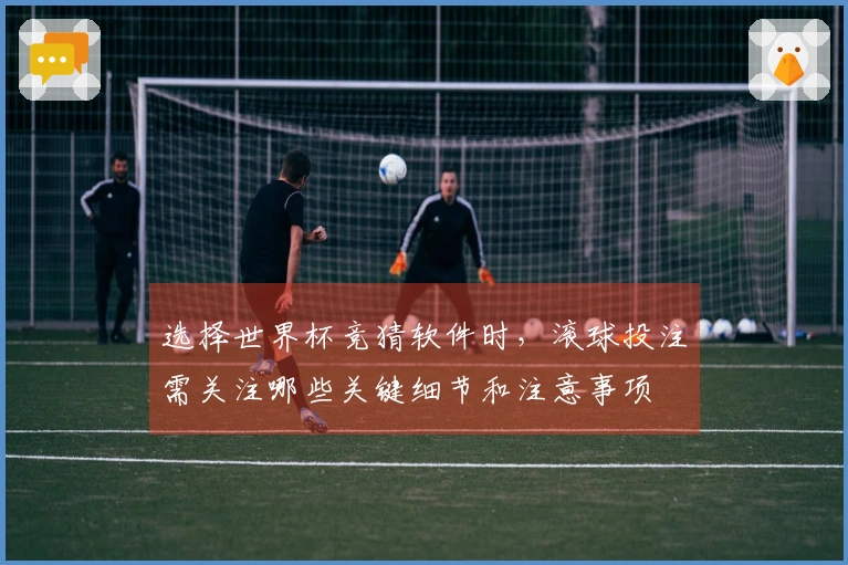 选择世界杯竞猜软件时，滚球投注需关注哪些关键细节和注意事项