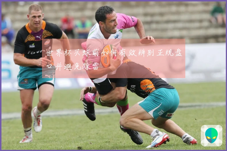 世界杯买球前如何有效辨别正规盘口并避免踩雷