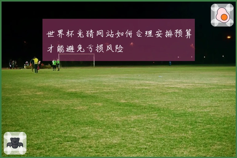 世界杯竞猜网站如何合理安排预算才能避免亏损风险