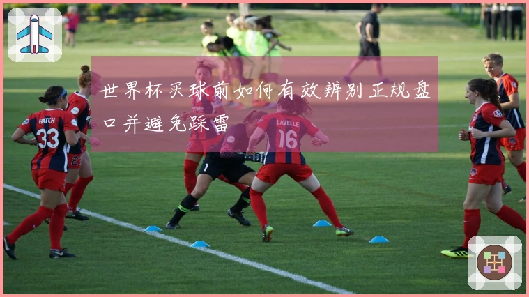 世界杯买球前如何有效辨别正规盘口并避免踩雷