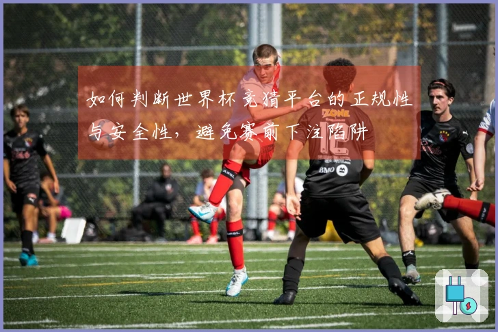如何判断世界杯竞猜平台的正规性与安全性，避免赛前下注陷阱