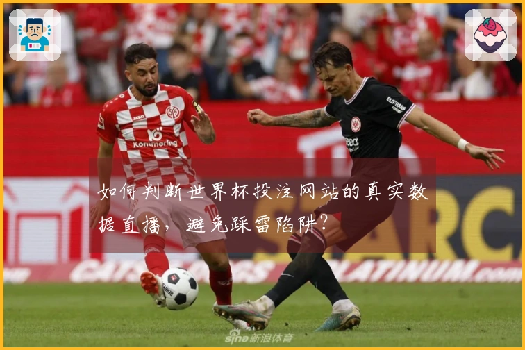如何判断世界杯投注网站的真实数据直播，避免踩雷陷阱？