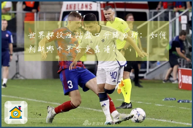 世界杯投注站盘口升降分析：如何判断哪个平台更靠谱？