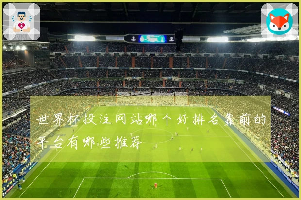 世界杯投注网站哪个好排名靠前的平台有哪些推荐