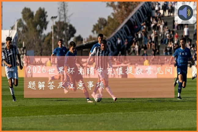 2026世界杯竞猜中充值提款常见问题解答及注意事项