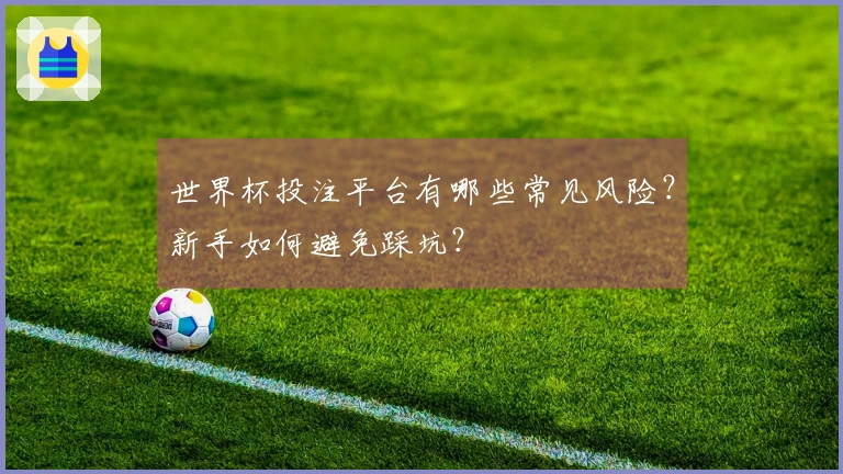 世界杯投注平台有哪些常见风险？新手如何避免踩坑？
