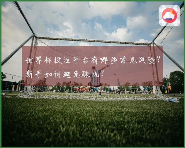 世界杯投注平台有哪些常见风险？新手如何避免踩坑？