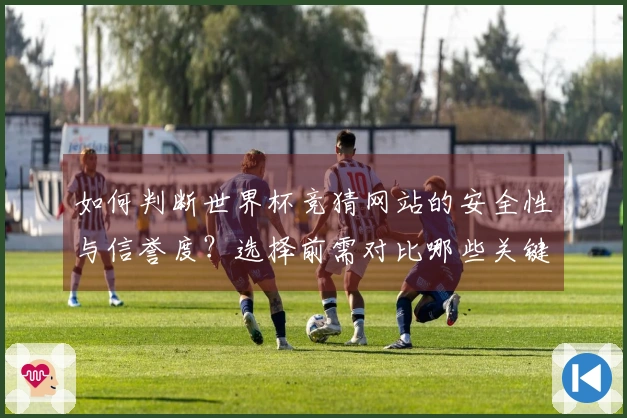 如何判断世界杯竞猜网站的安全性与信誉度？选择前需对比哪些关键因素？