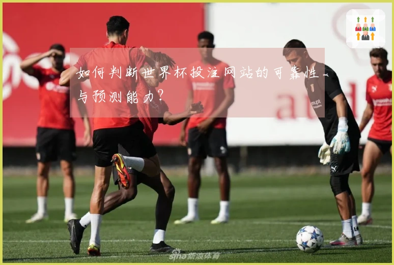 如何判断世界杯投注网站的可靠性与预测能力？