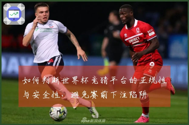 如何判断世界杯竞猜平台的正规性与安全性，避免赛前下注陷阱