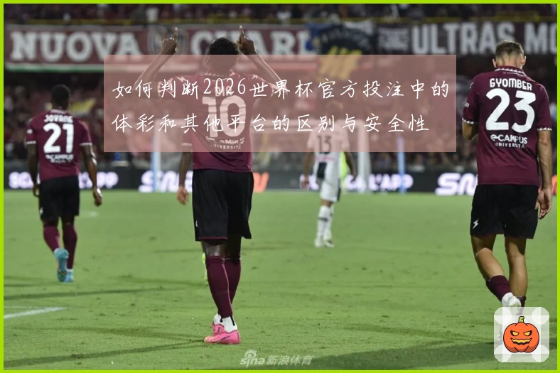 如何判断2026世界杯官方投注中的体彩和其他平台的区别与安全性