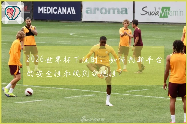 2026世界杯下注时，如何判断平台的安全性和规则合规性？