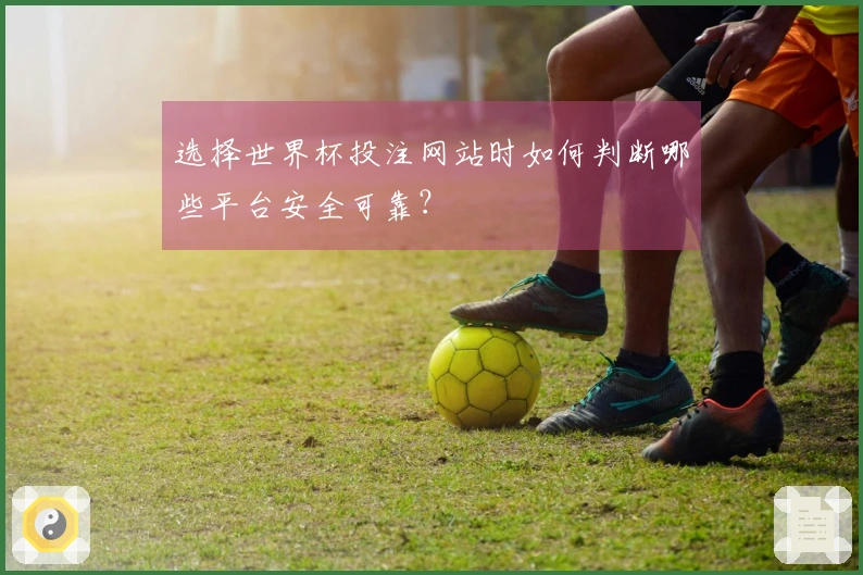 选择世界杯投注网站时如何判断哪些平台安全可靠？