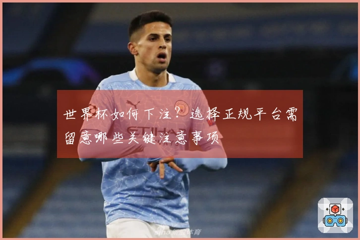 世界杯如何下注？选择正规平台需留意哪些关键注意事项