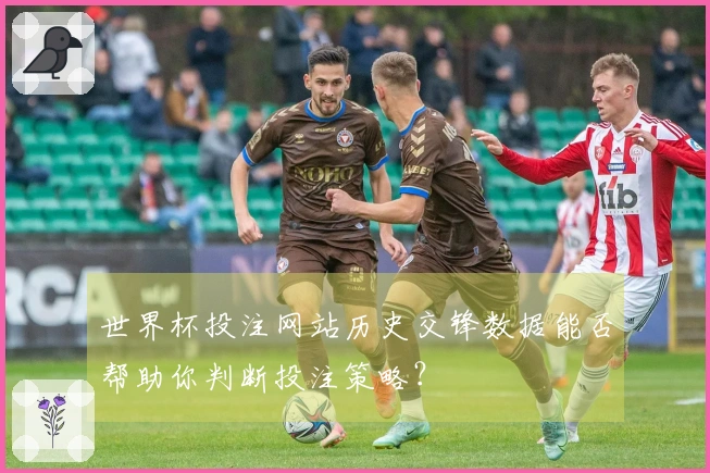 世界杯投注网站历史交锋数据能否帮助你判断投注策略？