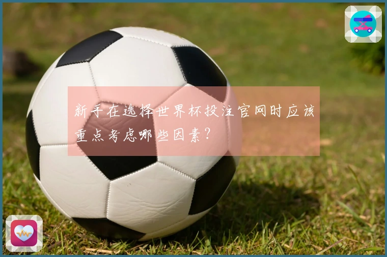新手在选择世界杯投注官网时应该重点考虑哪些因素？