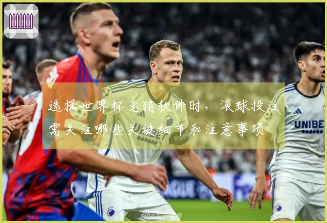 选择世界杯竞猜软件时，滚球投注需关注哪些关键细节和注意事项