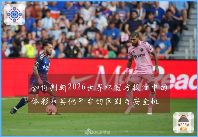 如何判断2026世界杯官方投注中的体彩和其他平台的区别与安全性