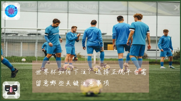 世界杯如何下注？选择正规平台需留意哪些关键注意事项